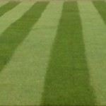 striped lawn by a rotary mower with roller