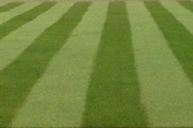 striped lawn by a rotary mower with roller