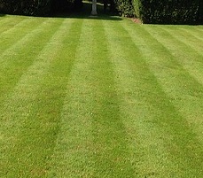 lawn with a striped finish